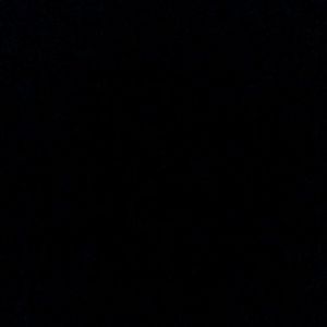 Meet your Posher, Kiara